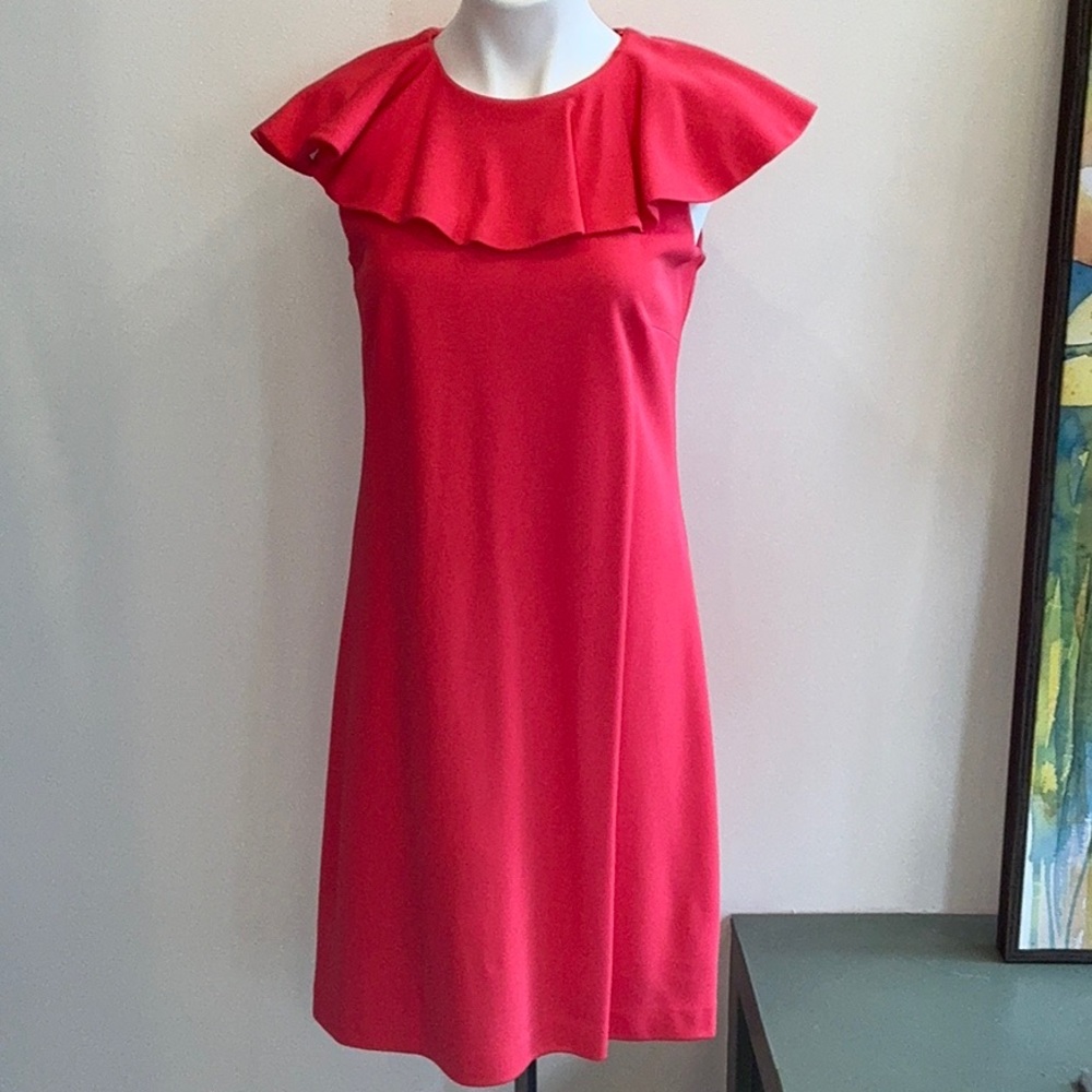 Ted Baker Dress - Size 2 US 6 (536)